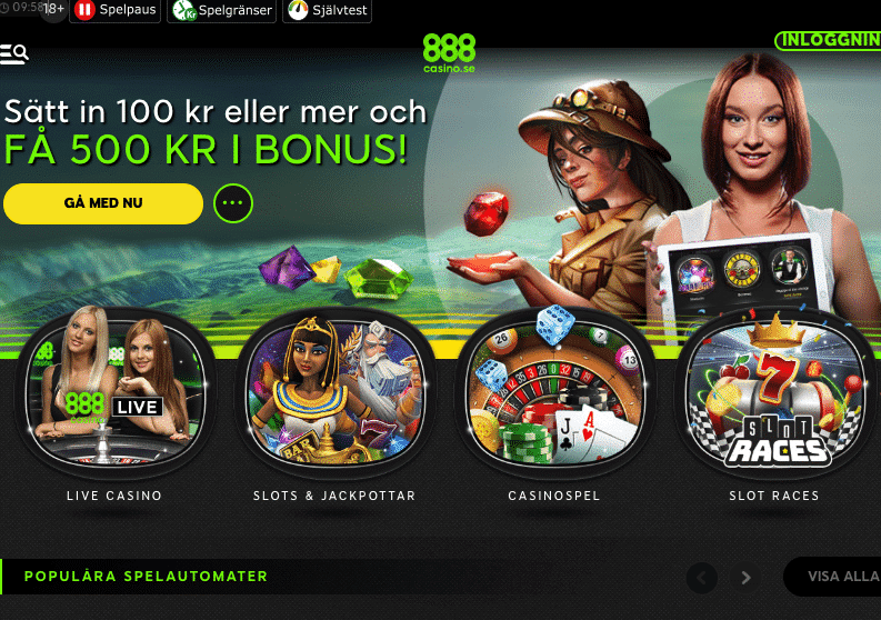 Casino 100 kr - 49573